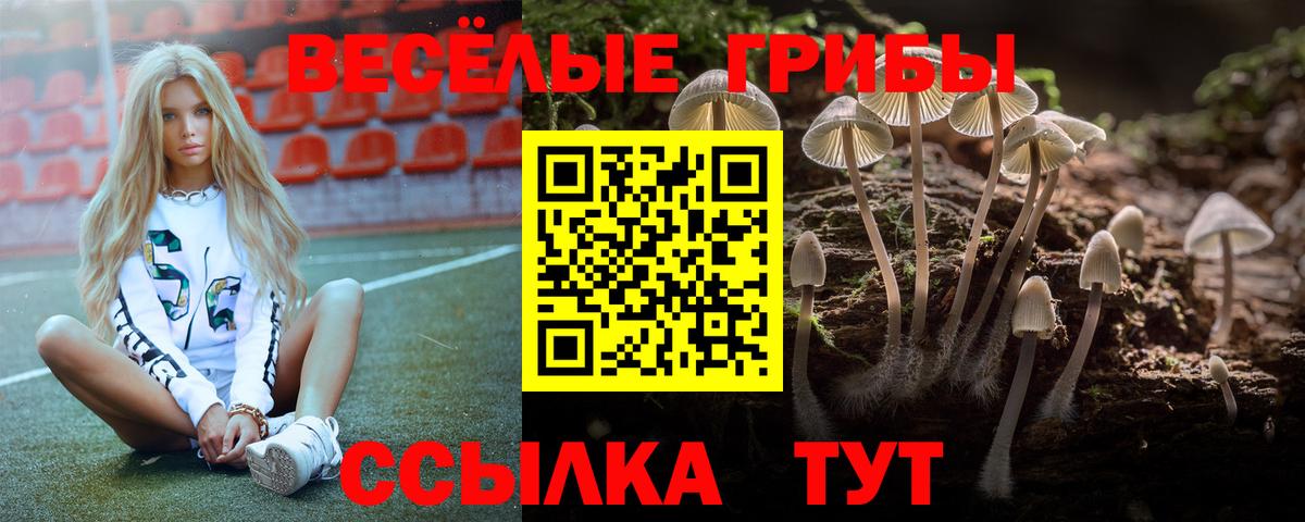 Галлюциногенные грибы GOLDEN TEACHER Лесозаводск