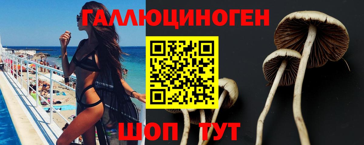 Лесозаводск  Галлюциногенные грибы мухоморы  Вход с VPN 